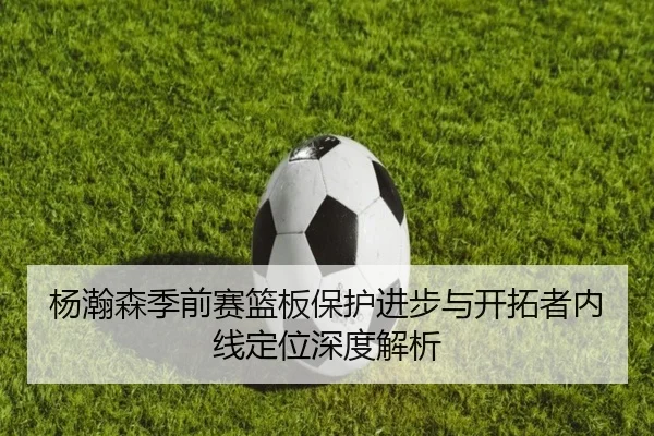 杨瀚森季前赛篮板保护进步与开拓者内线定位深度解析